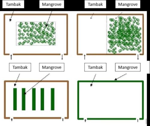 Silvofishery pattern implementation