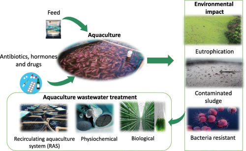 Environmental impacts of intensive aquaculture