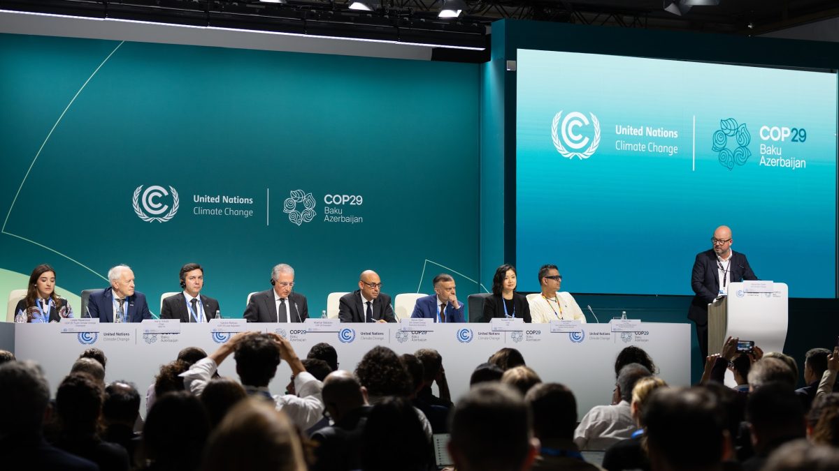 UNFCCC COP29