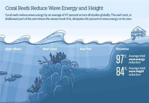 Diagram illustrating coastline protection by coral reefs