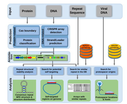 CRISPRloci workflow