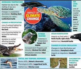 Impact of climate change (Photo Credit : The Times of India)