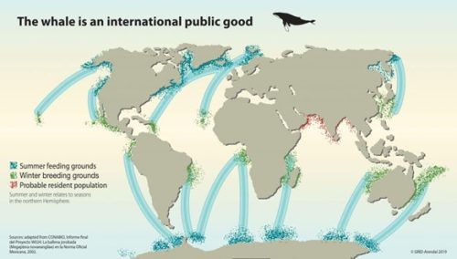 Photo Credit : Adapted from CONABIO, Final Report of Project W024: The Humpback Whale (Megaptera novaeangliae) in the Official Mexican Standard, 2002.