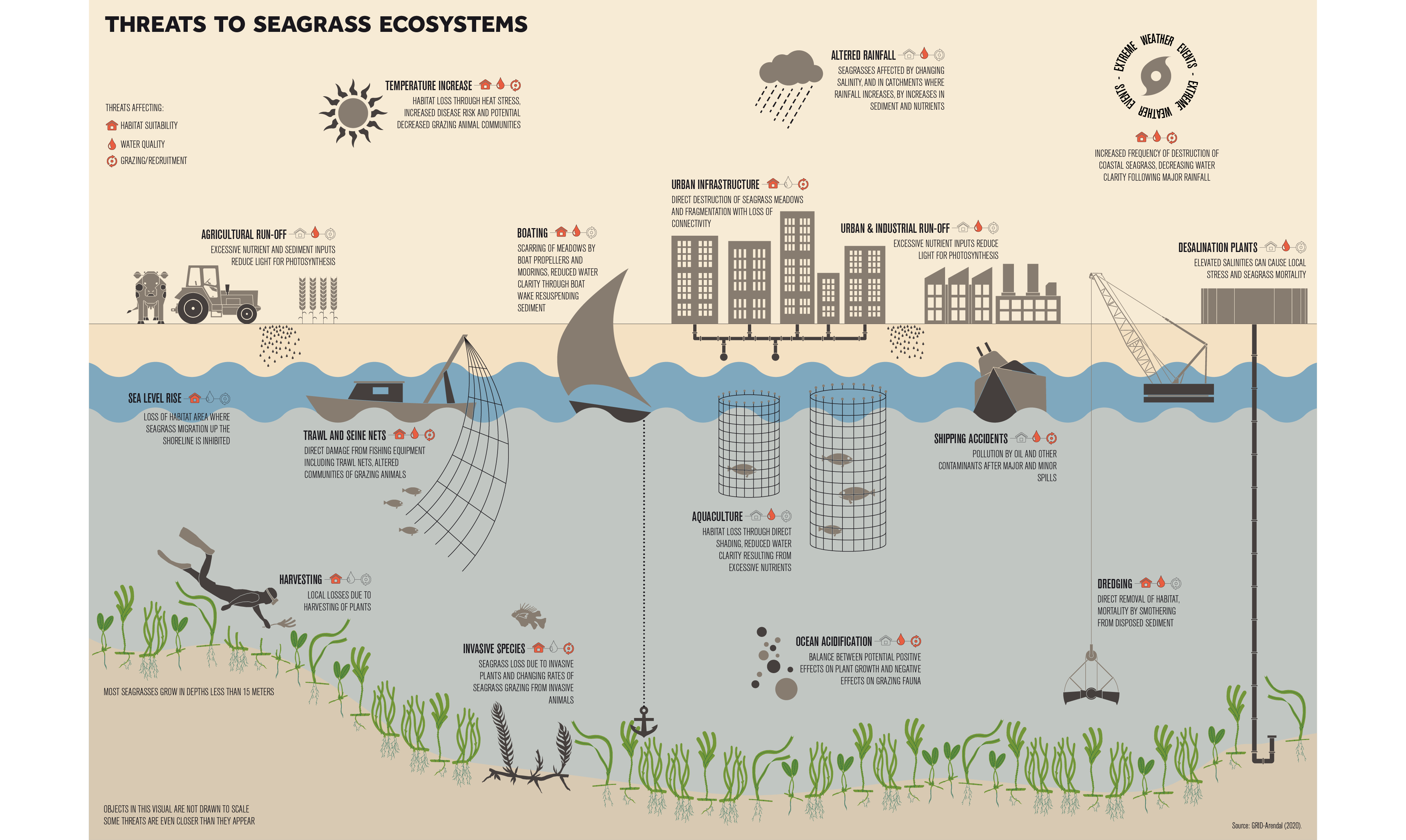 Threats to seagrass ecosystems (Photo Credit : Hisham Ashkar)