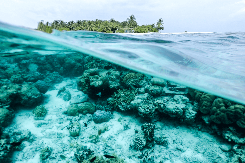 Photo Credit : Ishan@seefromthesky/Unsplash