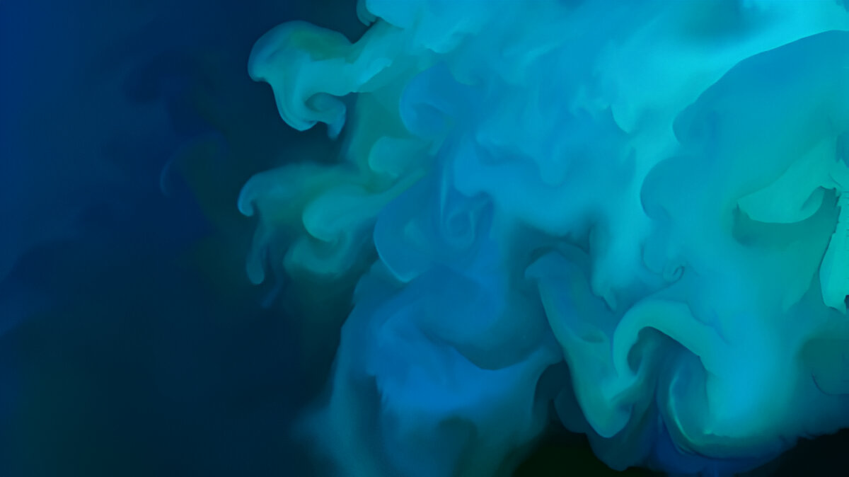 Top view of phytoplankton blooms in the north sea (Photo Credit : GizemG)