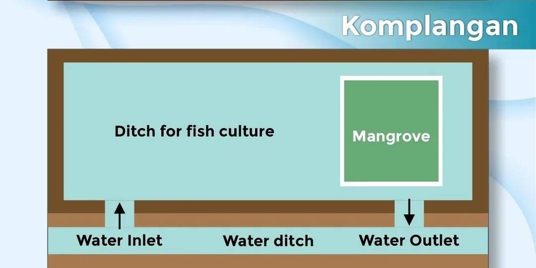 Komplangan (Photo Credit : Venambak.id)