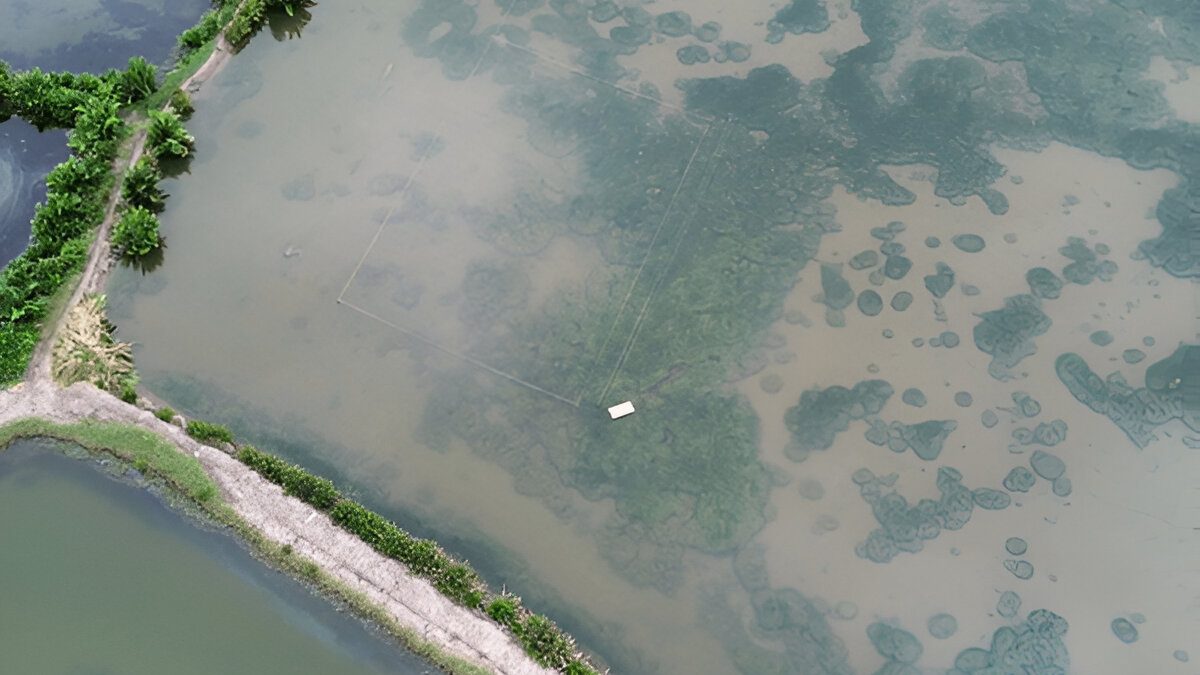 Drone footage of silvofishery pond (Photo Credit : Arif Yoga Pratama)