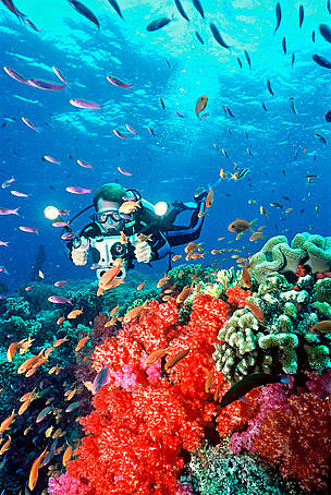 Photo Credit : Cat HOLLOWAY / WWF