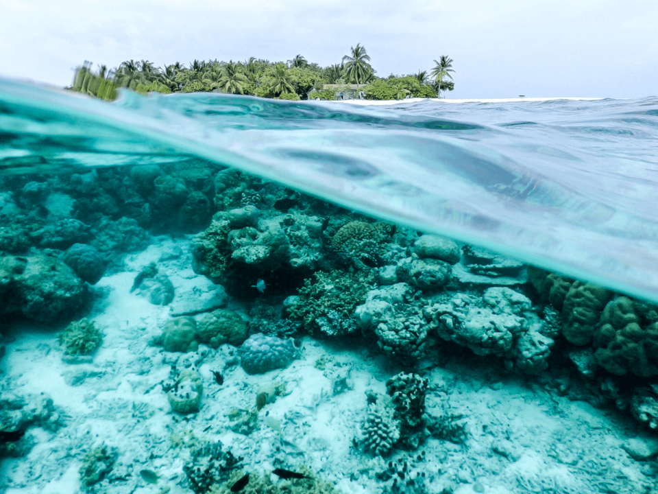 Photo Credit : Ishan@seefromthesky/Unsplash