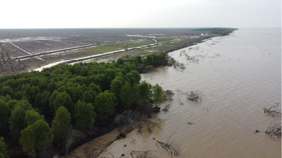 An aerial photo of tidal flooding at mangrove forest in Riau (Photo Credit : Imam Taufik)