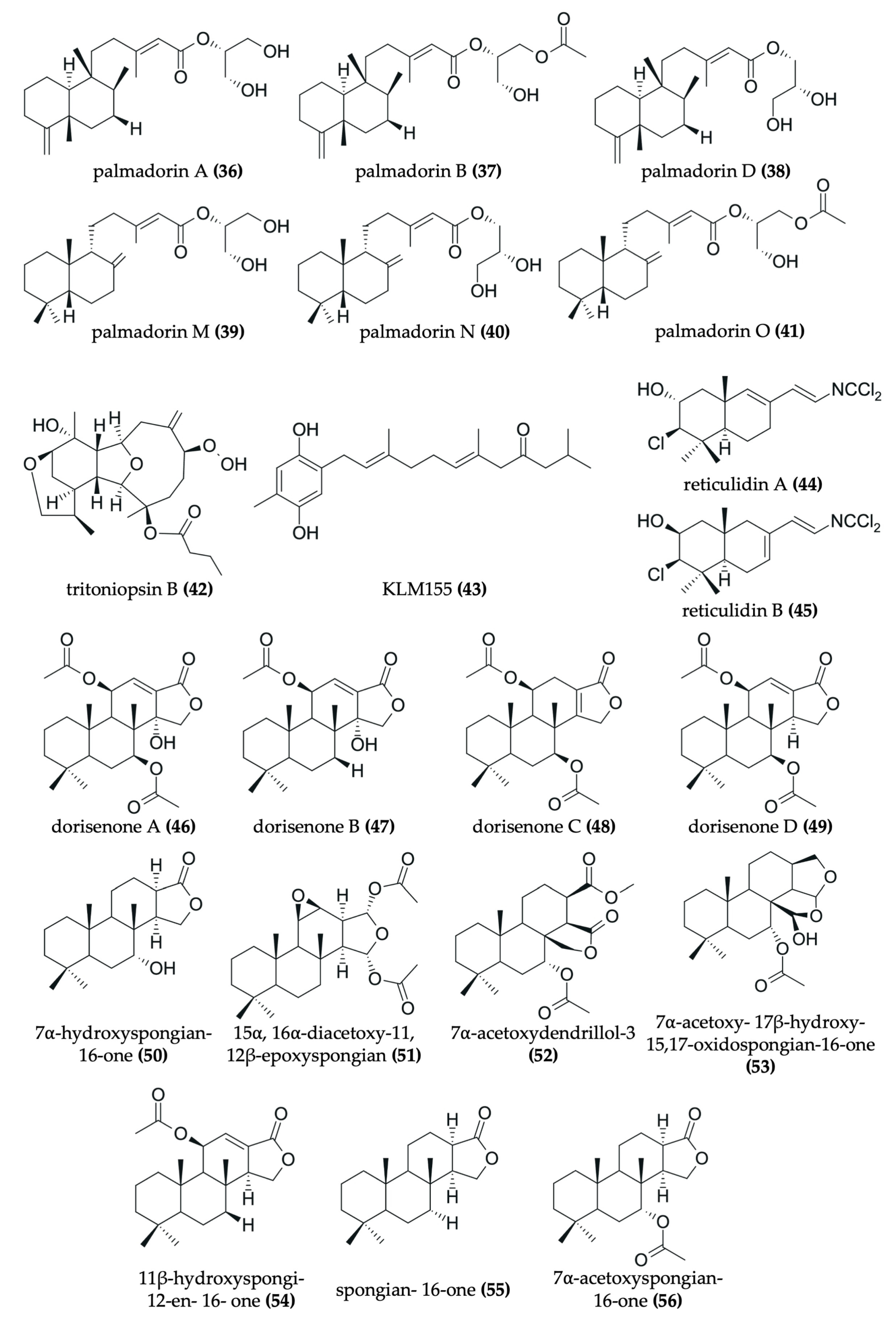 Chemical structures of antitumor compounds isolated from nudibranchs (Photo Credit : Servillera, et al.)