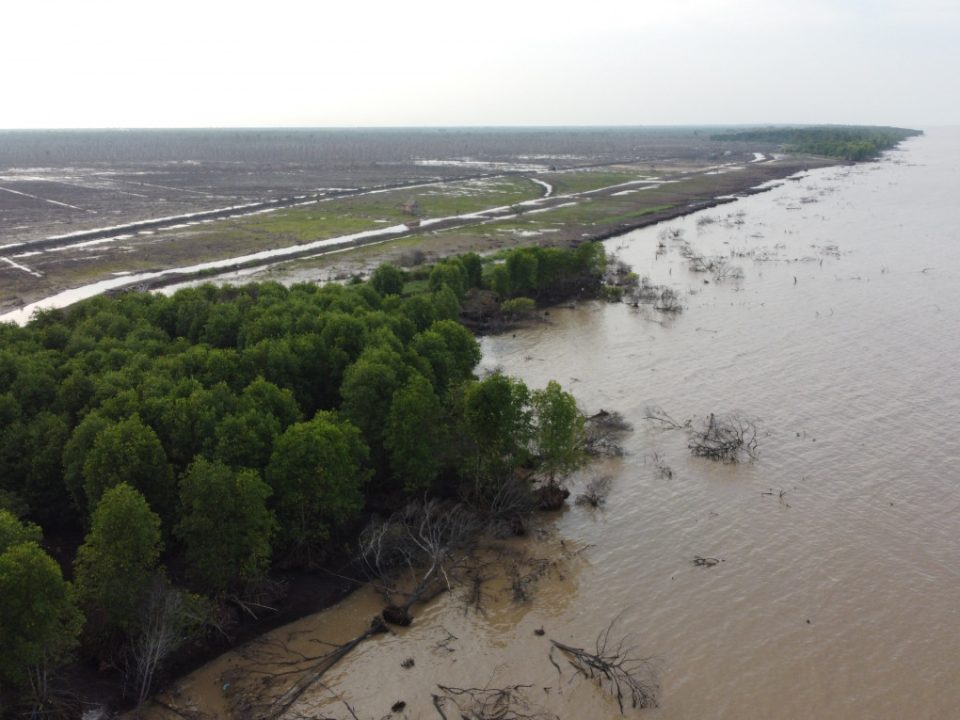 An aerial photo of tidal flooding at mangrove forest in Riau (Photo Credit : Imam Taufik)