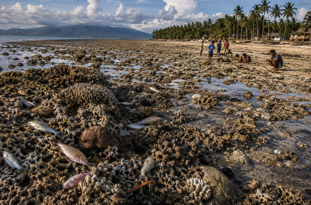 Philippine earthquake raises seabed by two meters (Photo Credit : Asean Today)
