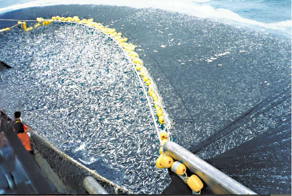 Massive industrial fishing net (Photo Credit : Asc1733)
