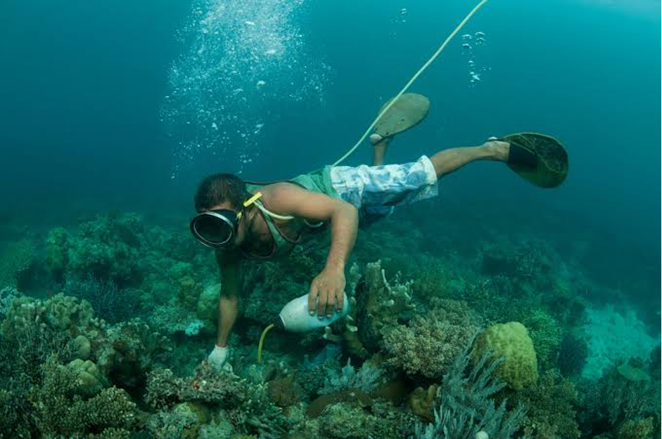 A fisherman illegally applies cyanide to a coral reef crevice (Photo Credit : Jurgen Freund/Nature Picture Library/Corbis)