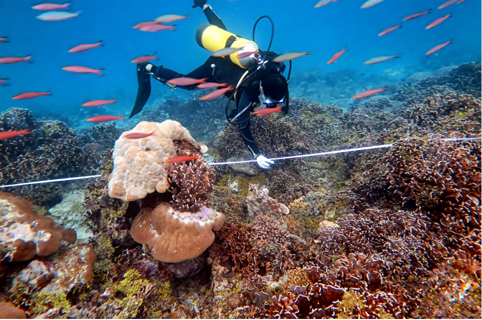 Indonesia healthy coral reef (Photo Credit: LIPI)