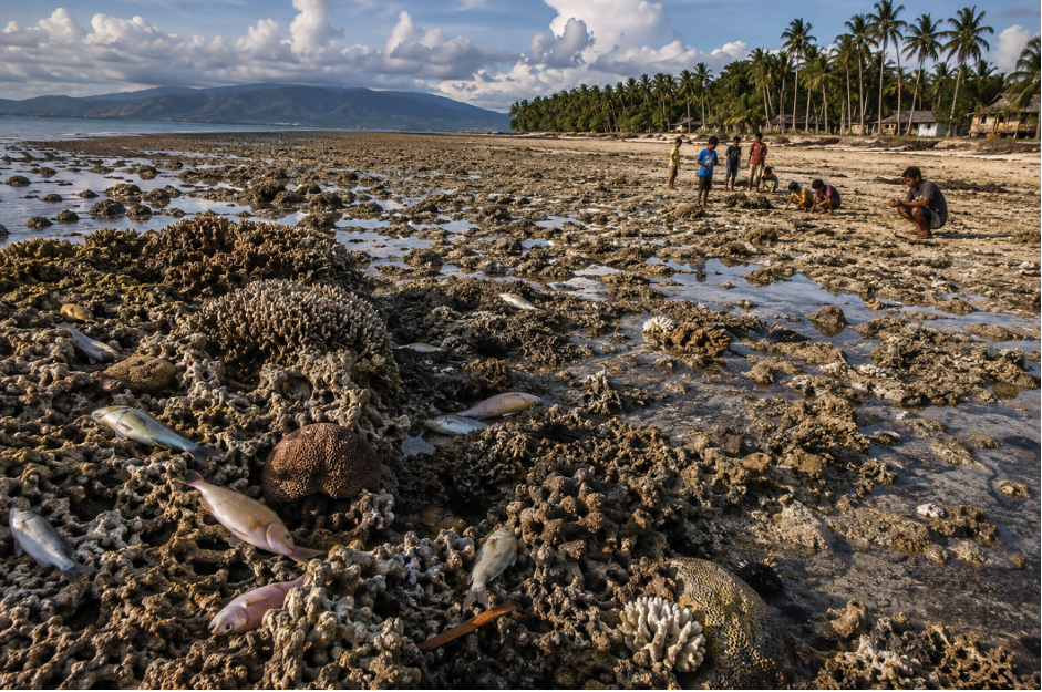 Philippine earthquake raises seabed by two meters (Photo Credit : Asean Today)