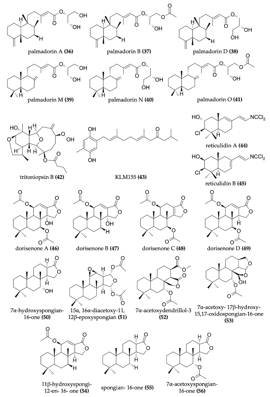 Chemical structures of antitumor compounds isolated from nudibranchs (Photo Credit : Servillera, et al.)