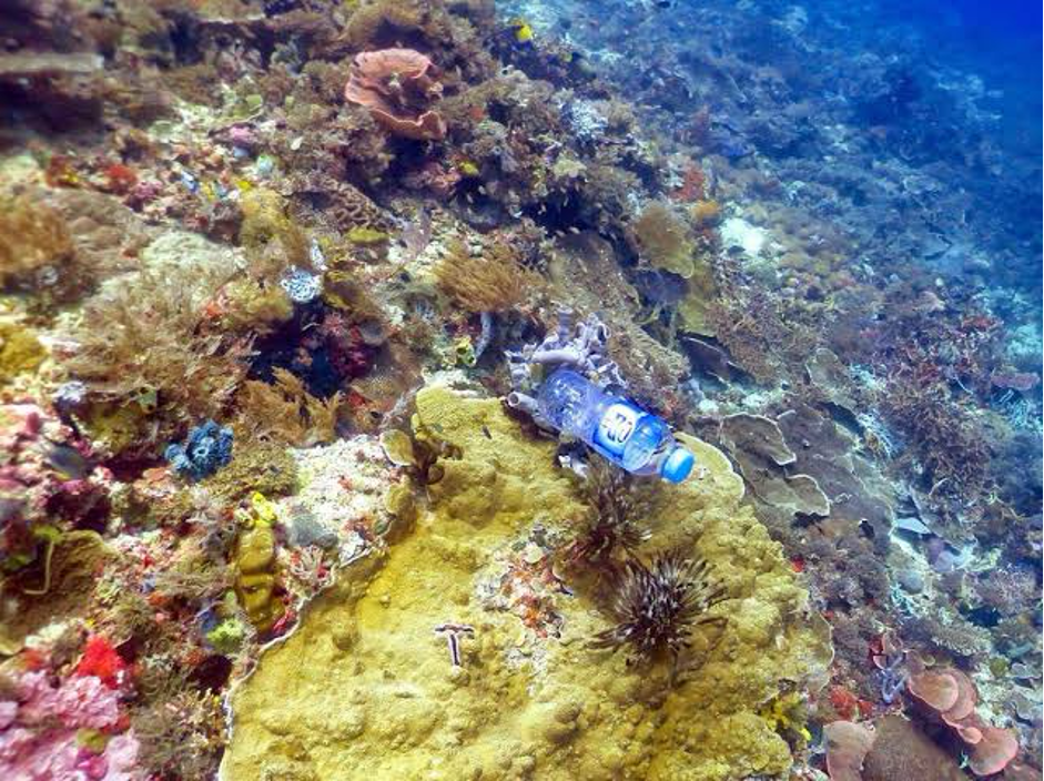 Plastic bottle discarded on a coral reef (Photo Credit : The Independent)
