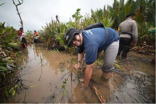 Planting and monitoring seeding establishment (Photo Credit : Planet Indonesia)
